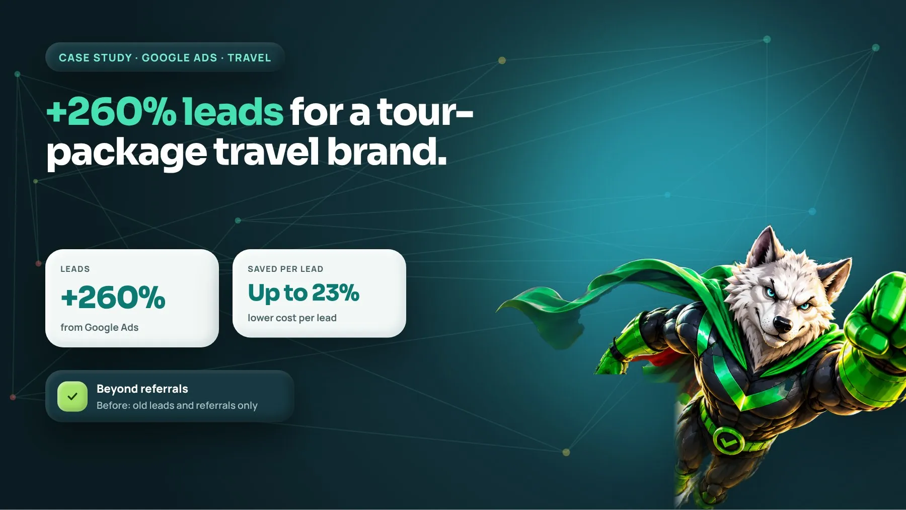 A tour company grew its leads by 260%: case study by Digiwolves, digital marketing agency