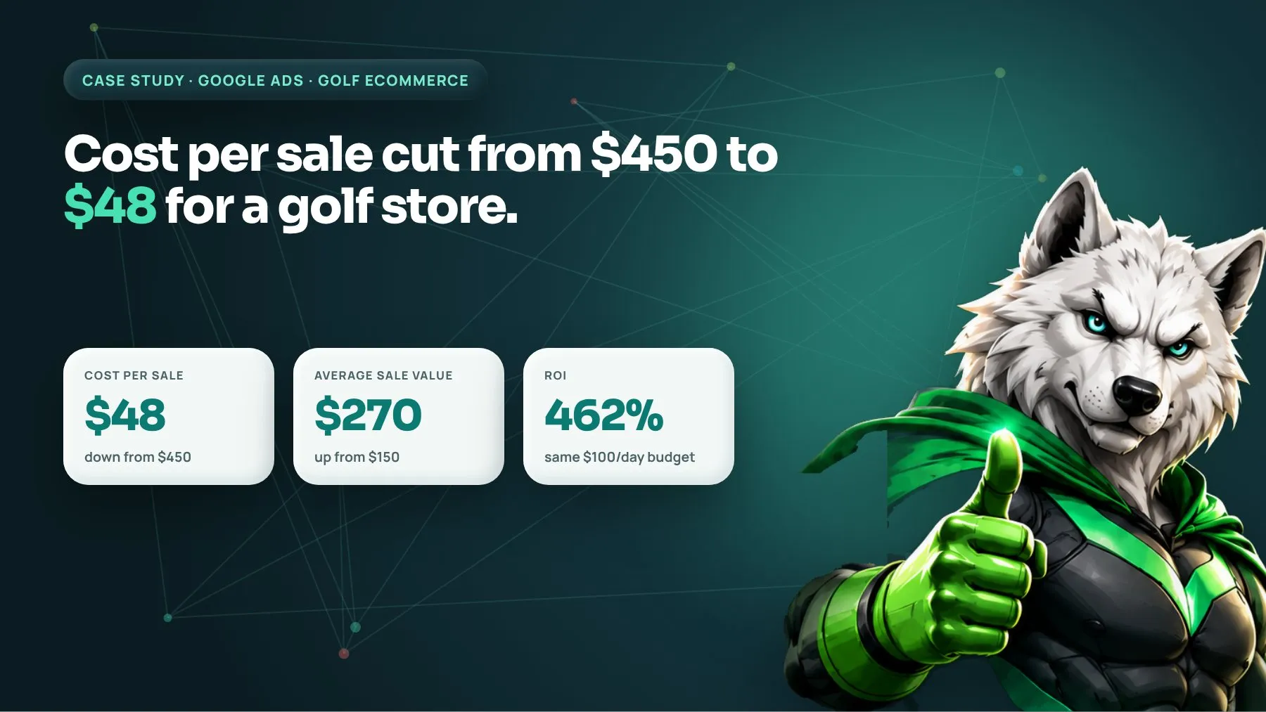 An online store cut its cost per sale from $450 to $48: case study by Digiwolves, digital marketing agency